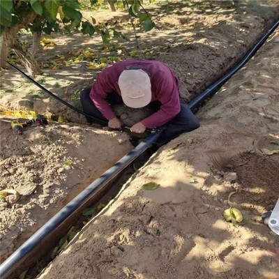 精準灌溉新利器 果園1出4滴箭套裝讓每棵果樹都喝飽水