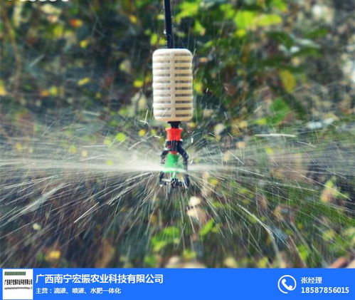 南寧果樹噴灌技術革新 宏振灌溉助力現代農業高效節水