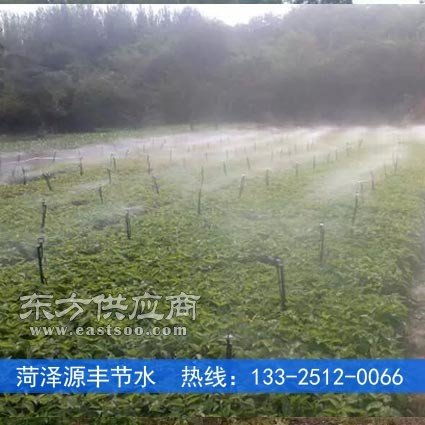 蔬菜噴灌追肥設施成本解析與效果展示